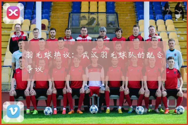 羽毛球热议：武汉羽毛球队的配合争议