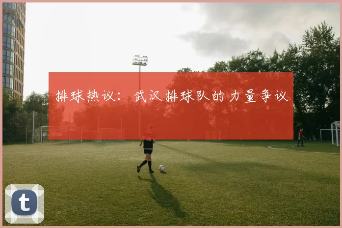 排球热议：武汉排球队的力量争议