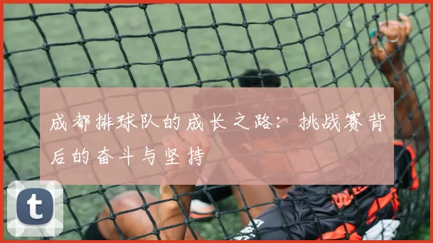 成都排球队的成长之路：挑战赛背后的奋斗与坚持