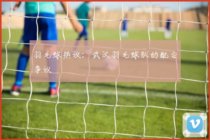 羽毛球热议：武汉羽毛球队的配合争议