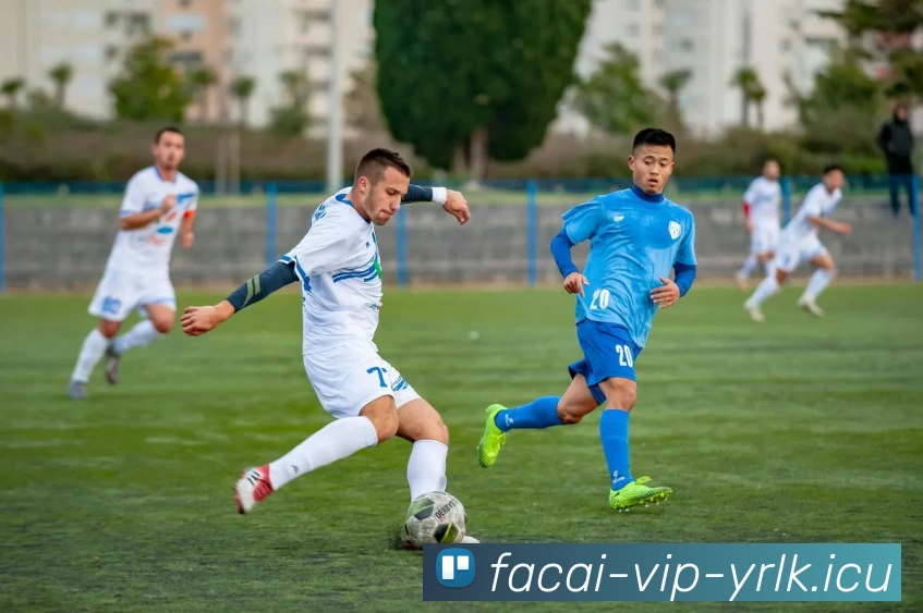 开云体育平台生态图